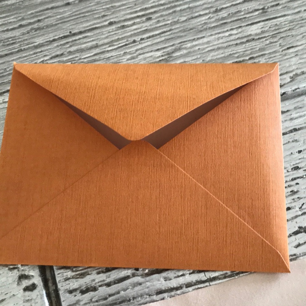 Louis Vuitton wipe cloth